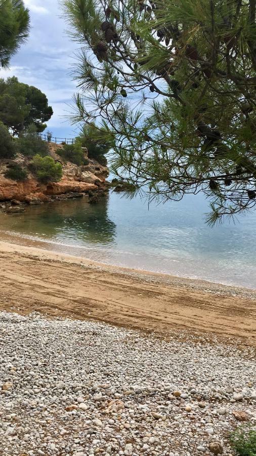 Apt Ideal Para Familias Cerca Del Mar L'Ampolla Exteriör bild